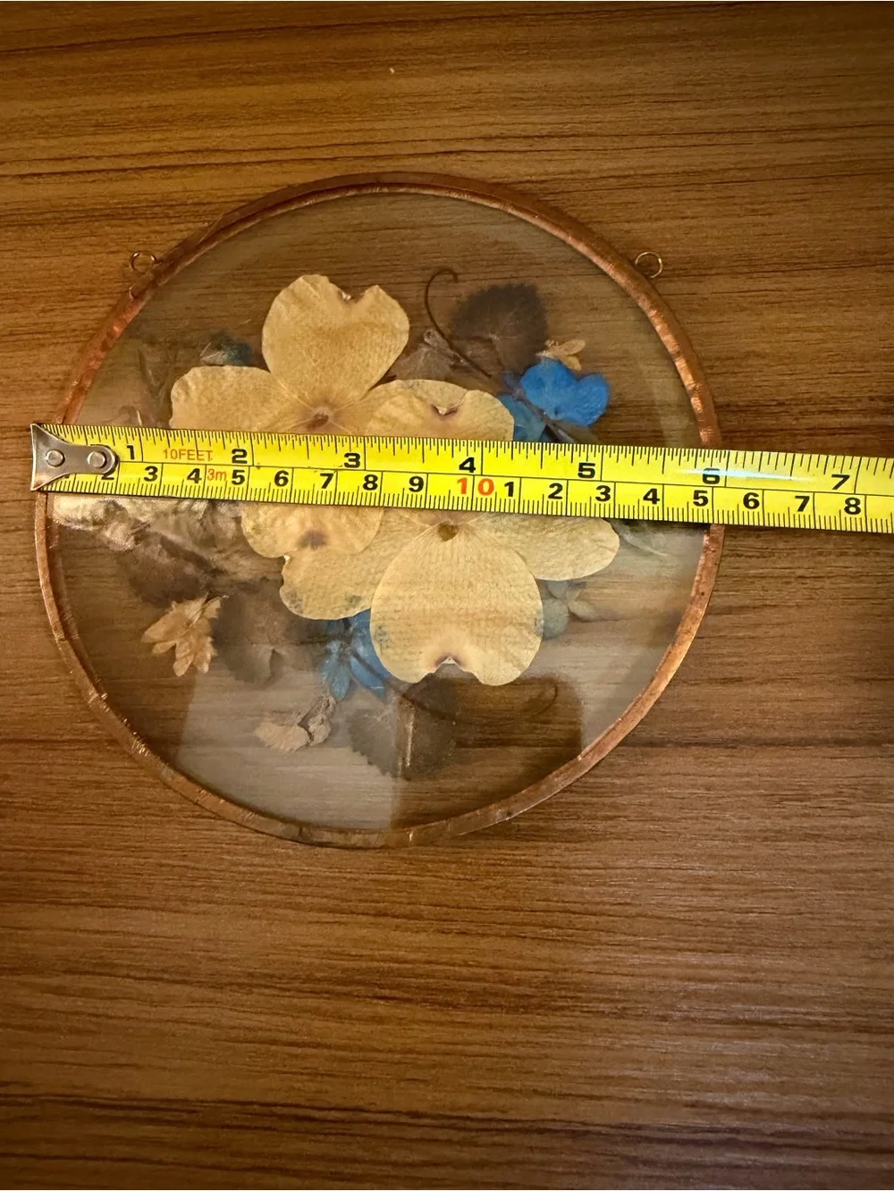 Vintage Pressed Flower Glass Suncatcher Frame 6